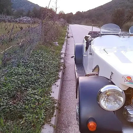 Michele * 오레비츠